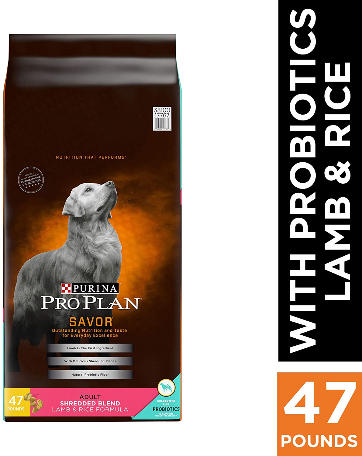 Best Dog Food For Dalmatians 5 Nutritious Options Best Protection Dogs