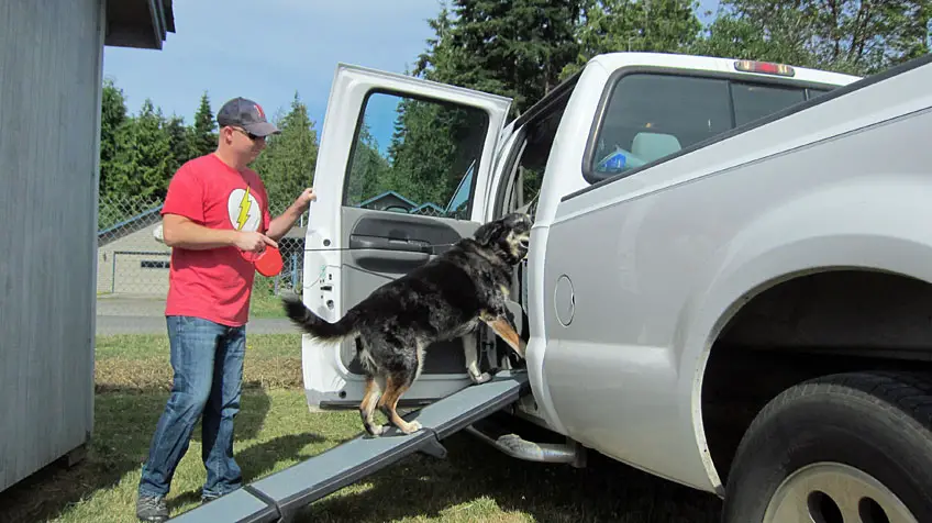 steps for dogs to get into car