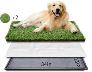 indoor grass for dogs to pee on