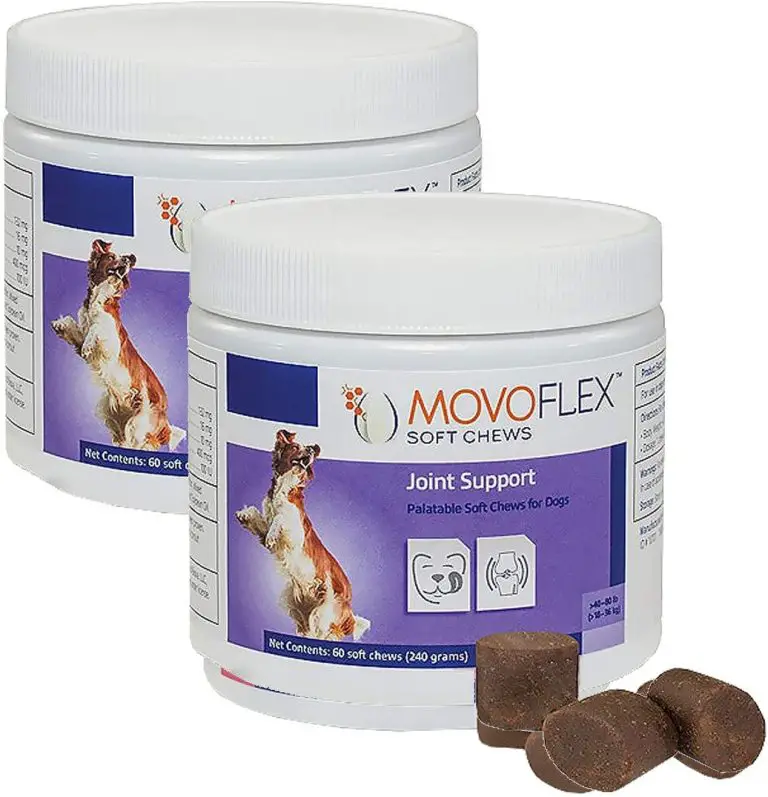 5-best-supplements-for-older-dogs-with-arthritis-perfect-guard-dogs