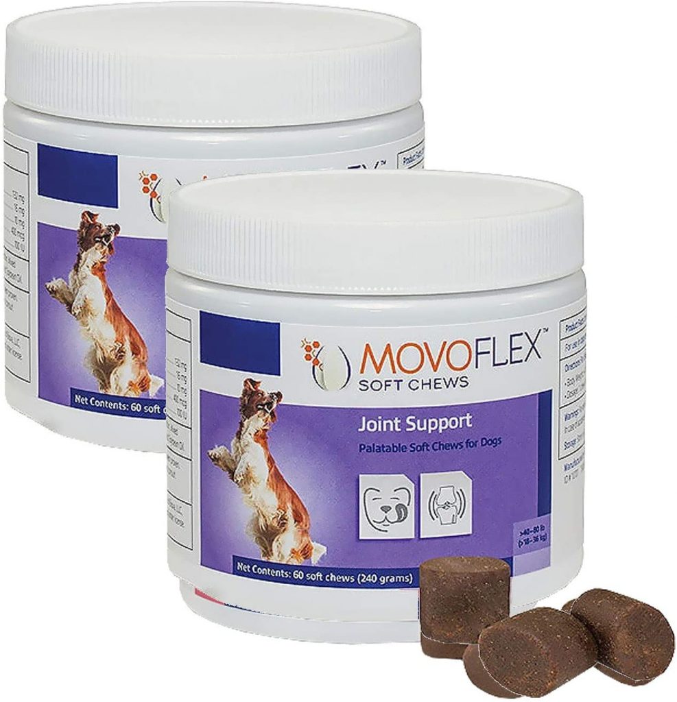 5 Best Supplements for Older Dogs with Arthritis Perfect Guard Dogs!