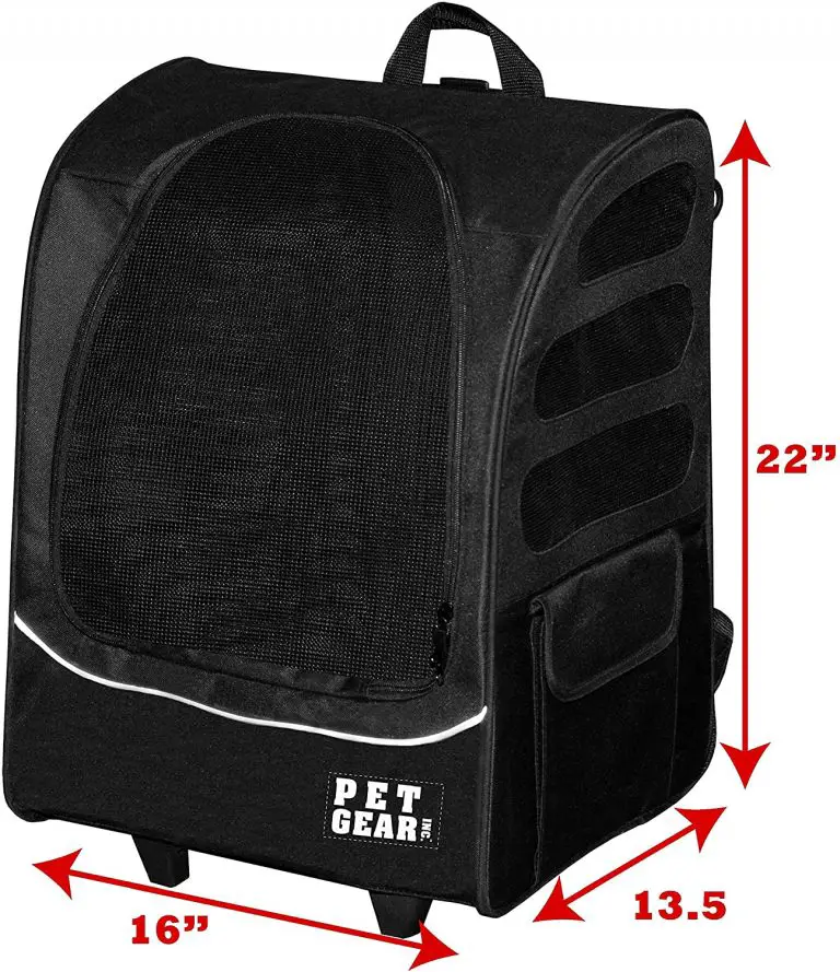 Best Dog Backpack Carrier for Motorcycles 3 Cute Options Here!