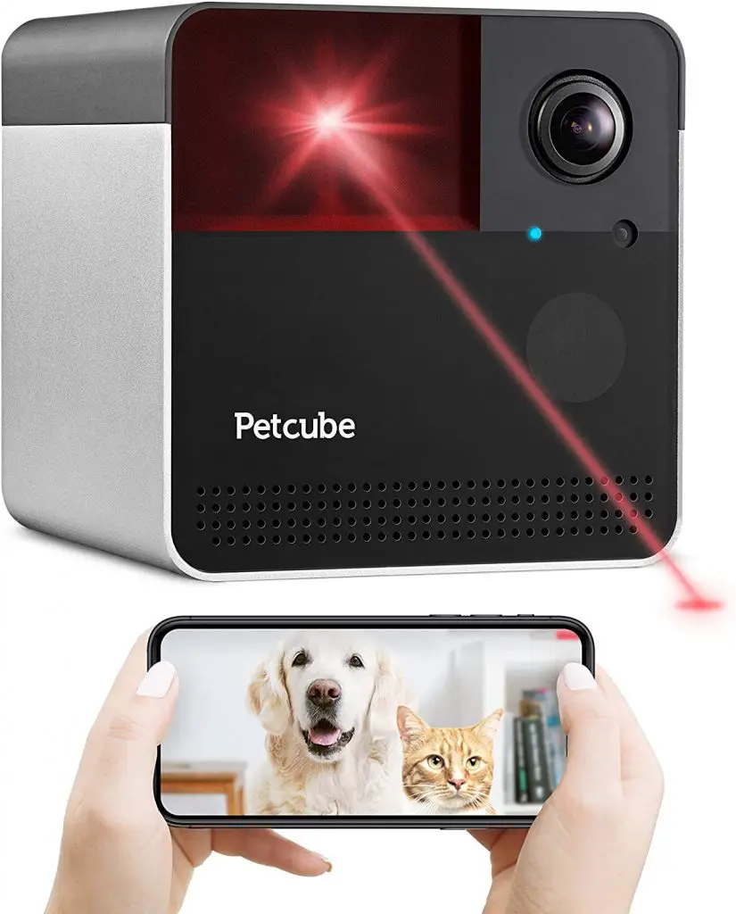 Best Dog Camera for Home Use Top 5 Editor's Picks