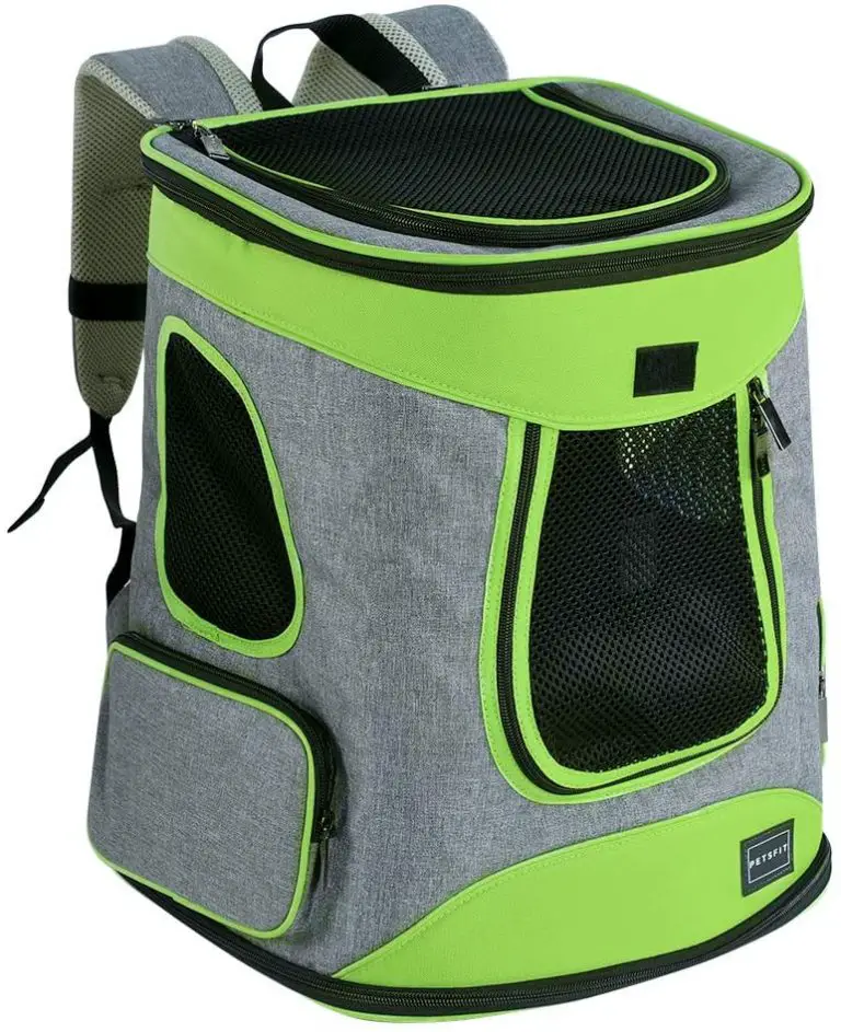 7 Doggie Backpacks for Small Dogs Best Protection Dogs