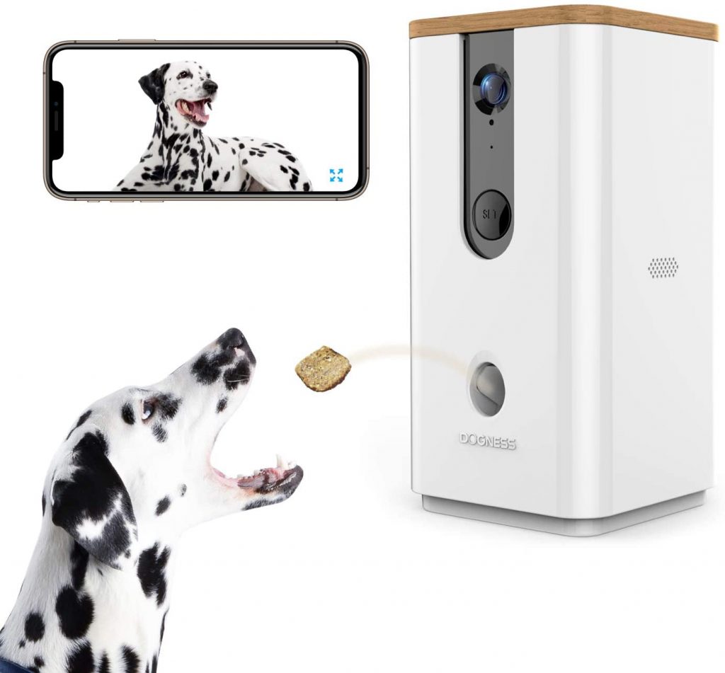 Best Dog Camera for Home Use Top 5 Editor's Picks