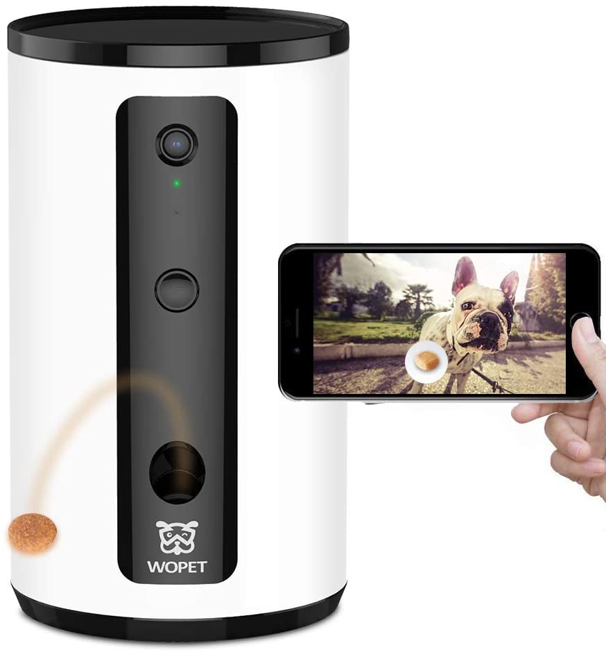 best dog camera for home