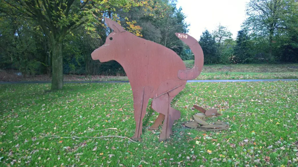 how to stop dogs from eating their poop