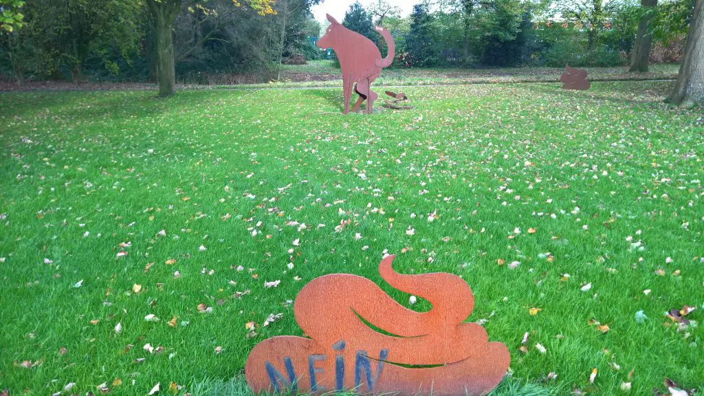 how to stop dogs from eating their poop