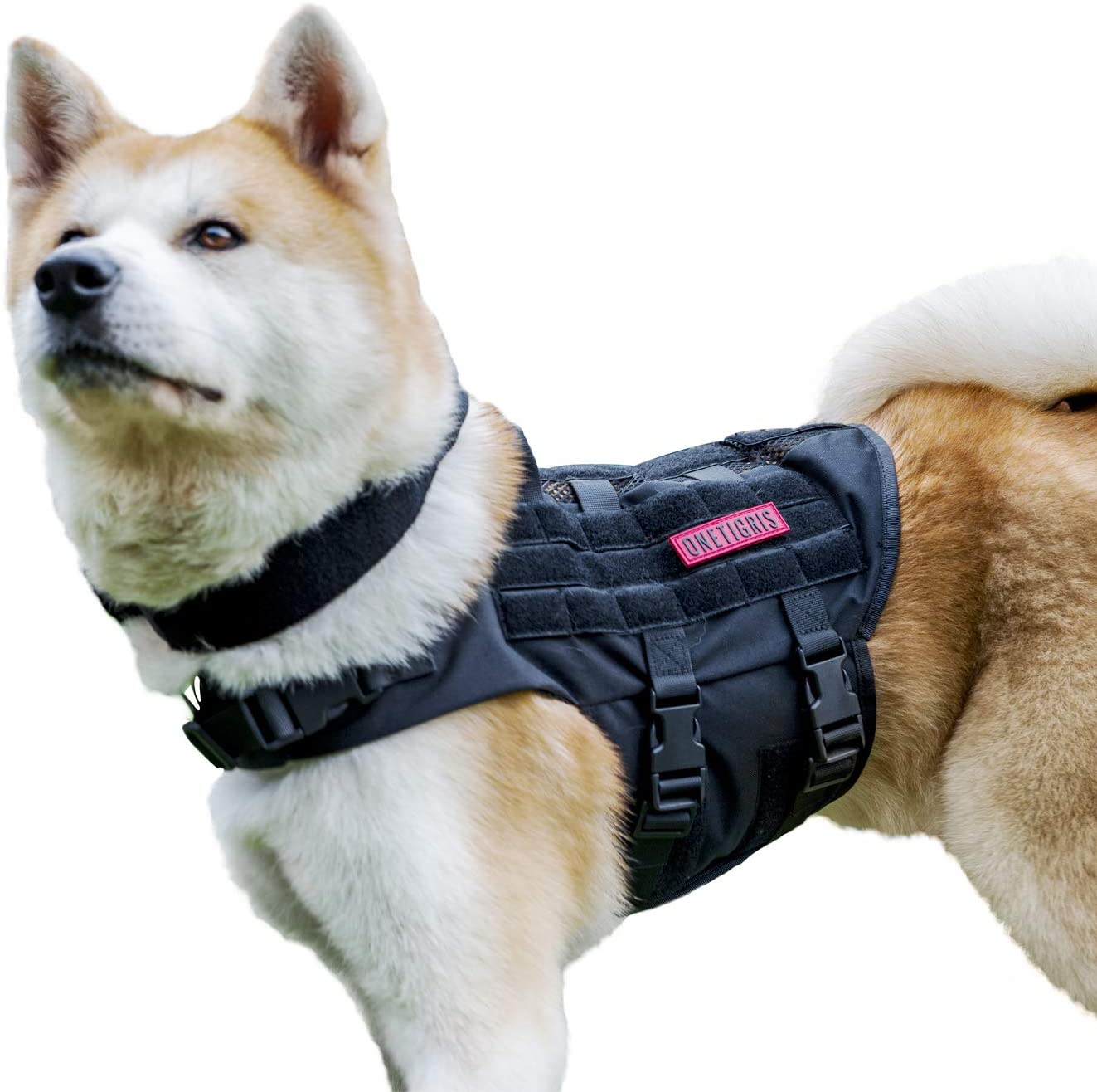Best Harness for Dogs That Escape 10 Foolproof Picks!