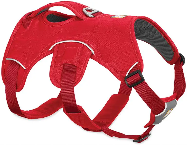 Best Harness for Dogs That Escape 10 Foolproof Picks!