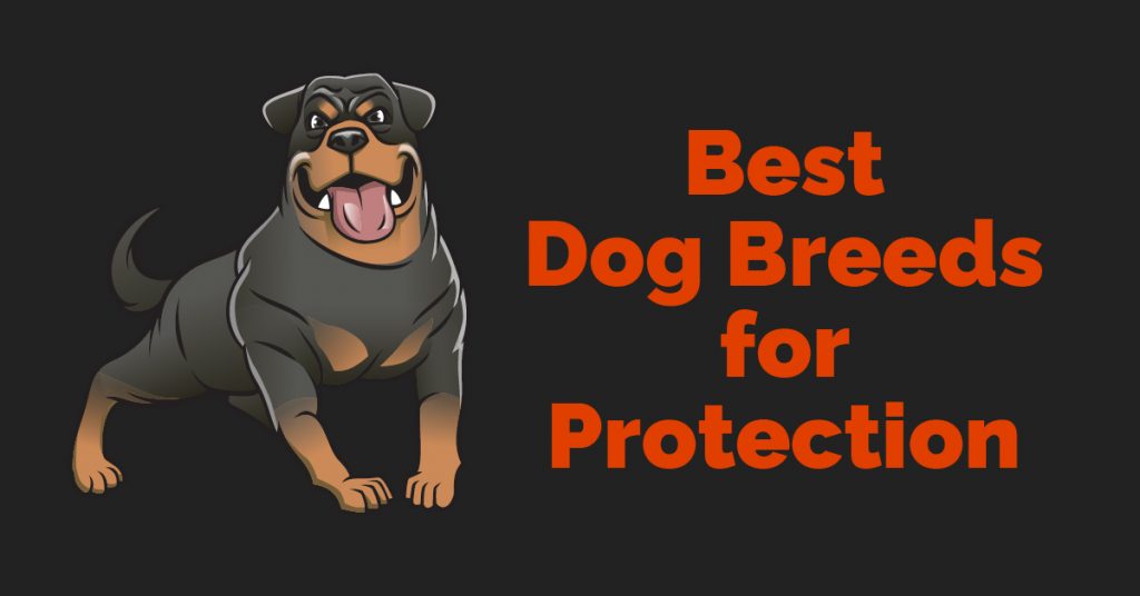 15 Best Dog Breeds For Protection Best Protection Dogs