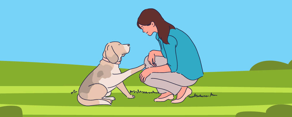 Dog Training Item Checklist