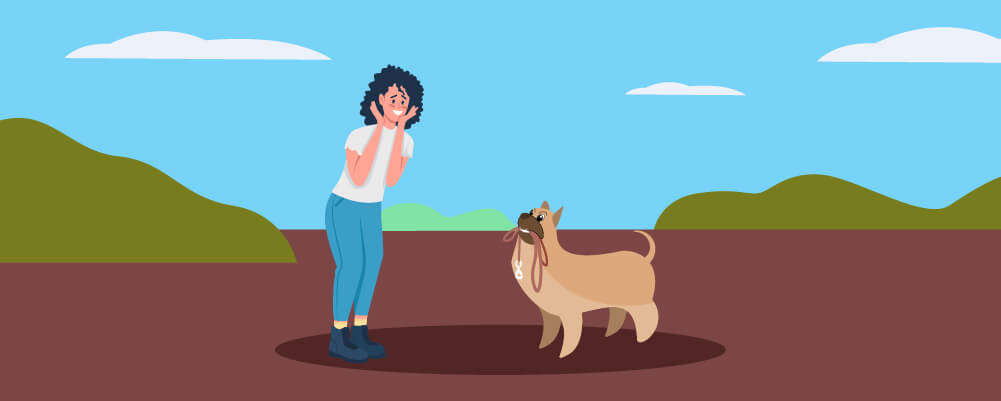 How To Train Your Dog