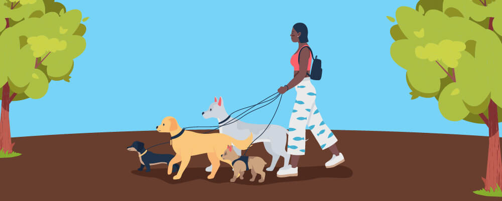 Woman walking 5 dogs