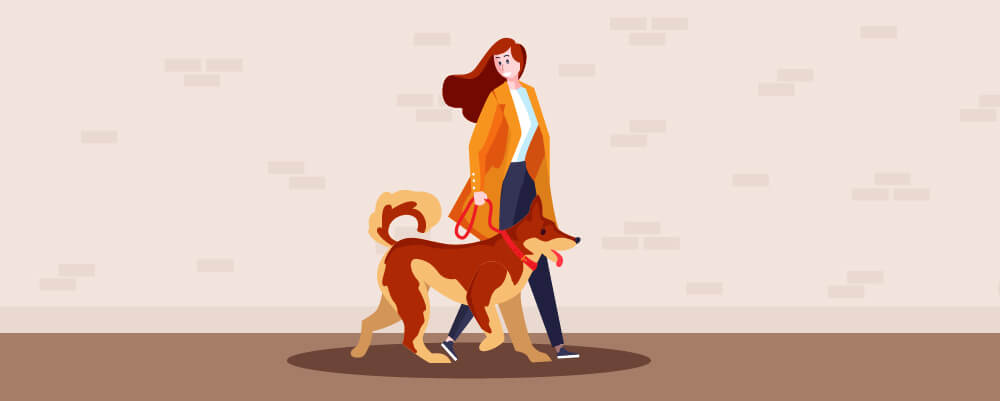 The Importance Of Dog Training