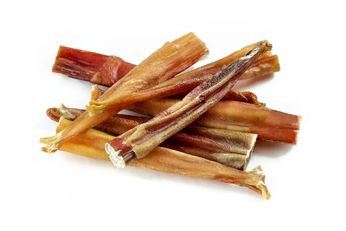 Why Are Bully Sticks So Expensive? Best Protection Dogs