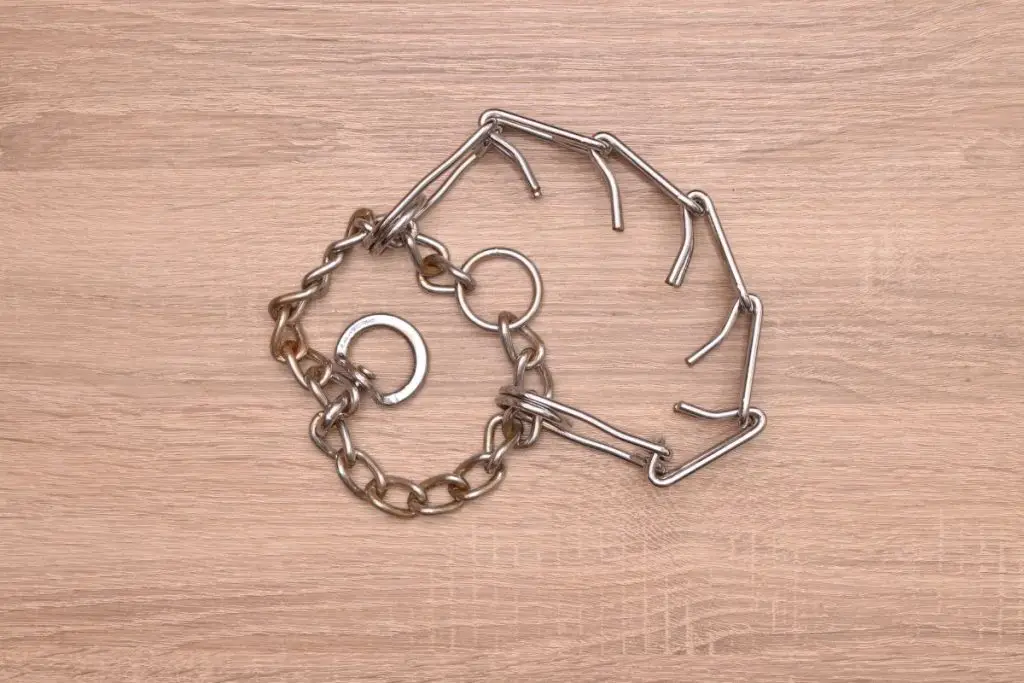 How Tight Should A Prong Collar Be? Best Protection Dogs