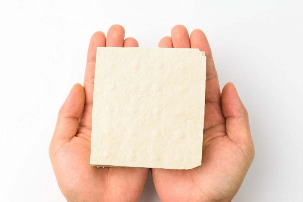 Is It Safe To Feed Dogs Tofu?