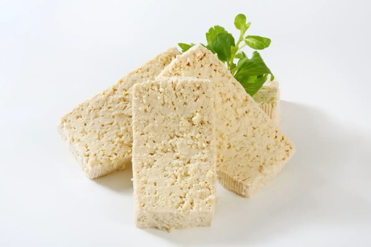 Is It Safe To Feed Dogs Tofu? Best Protection Dogs