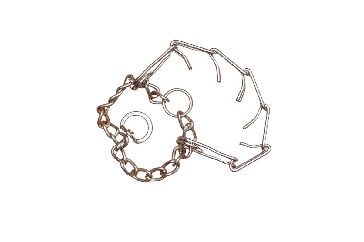 How To Put On A Prong Collar? Best Protection Dogs