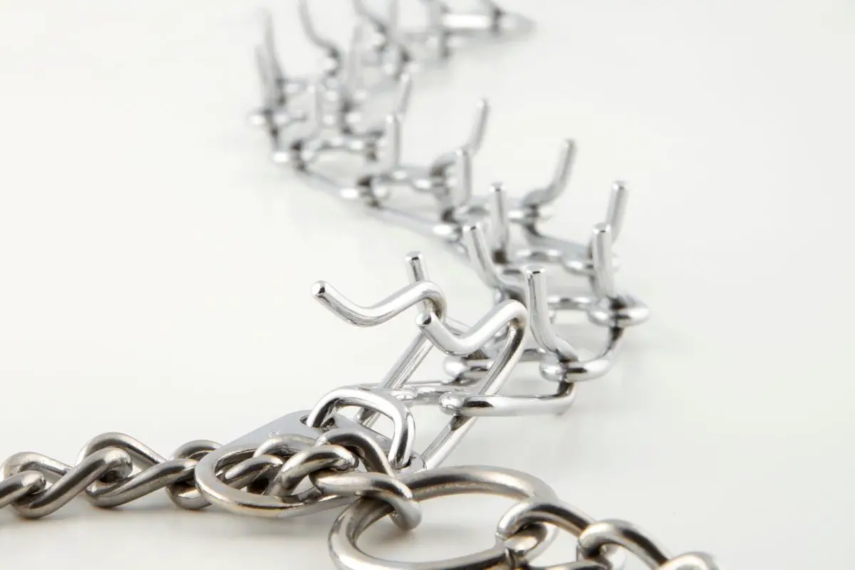 What Is The Practical Purpose Of A Prong Collar? Best Protection Dogs