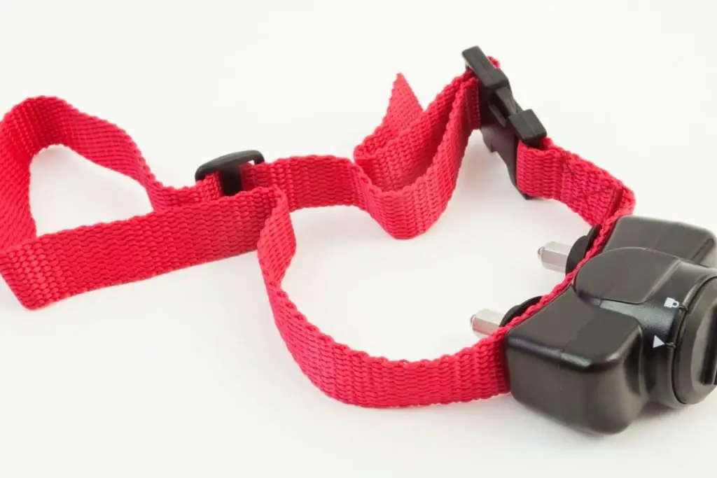 best no shock dog training collar