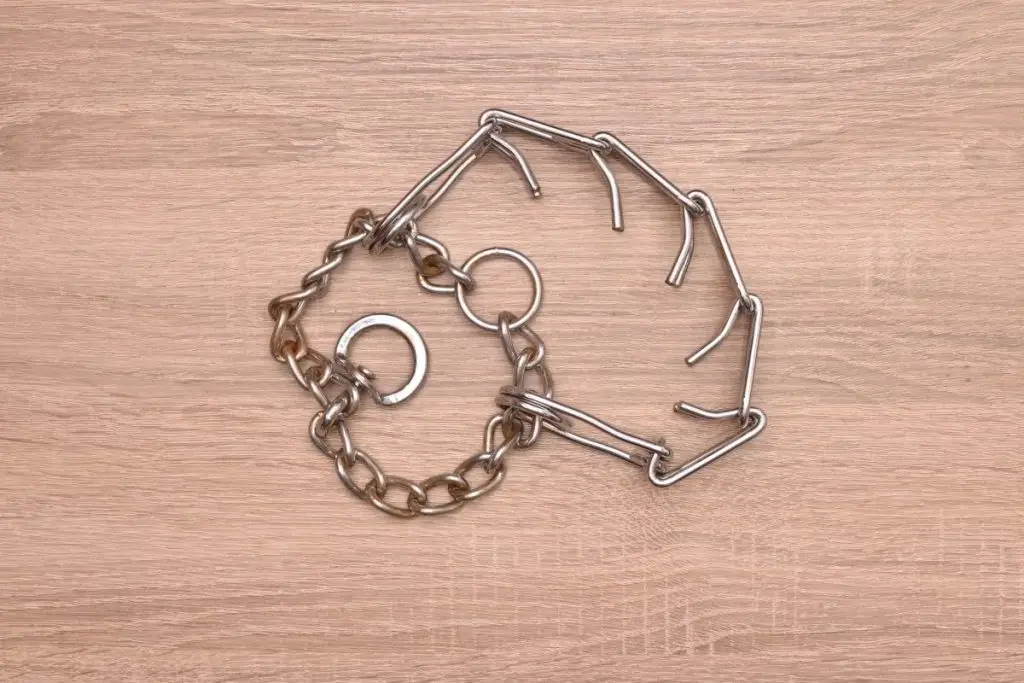 best training collar for stubborn dogs